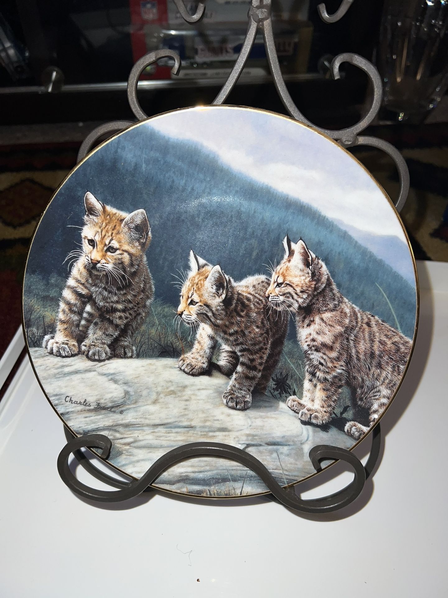 Bradford Exchange Collectible Plate