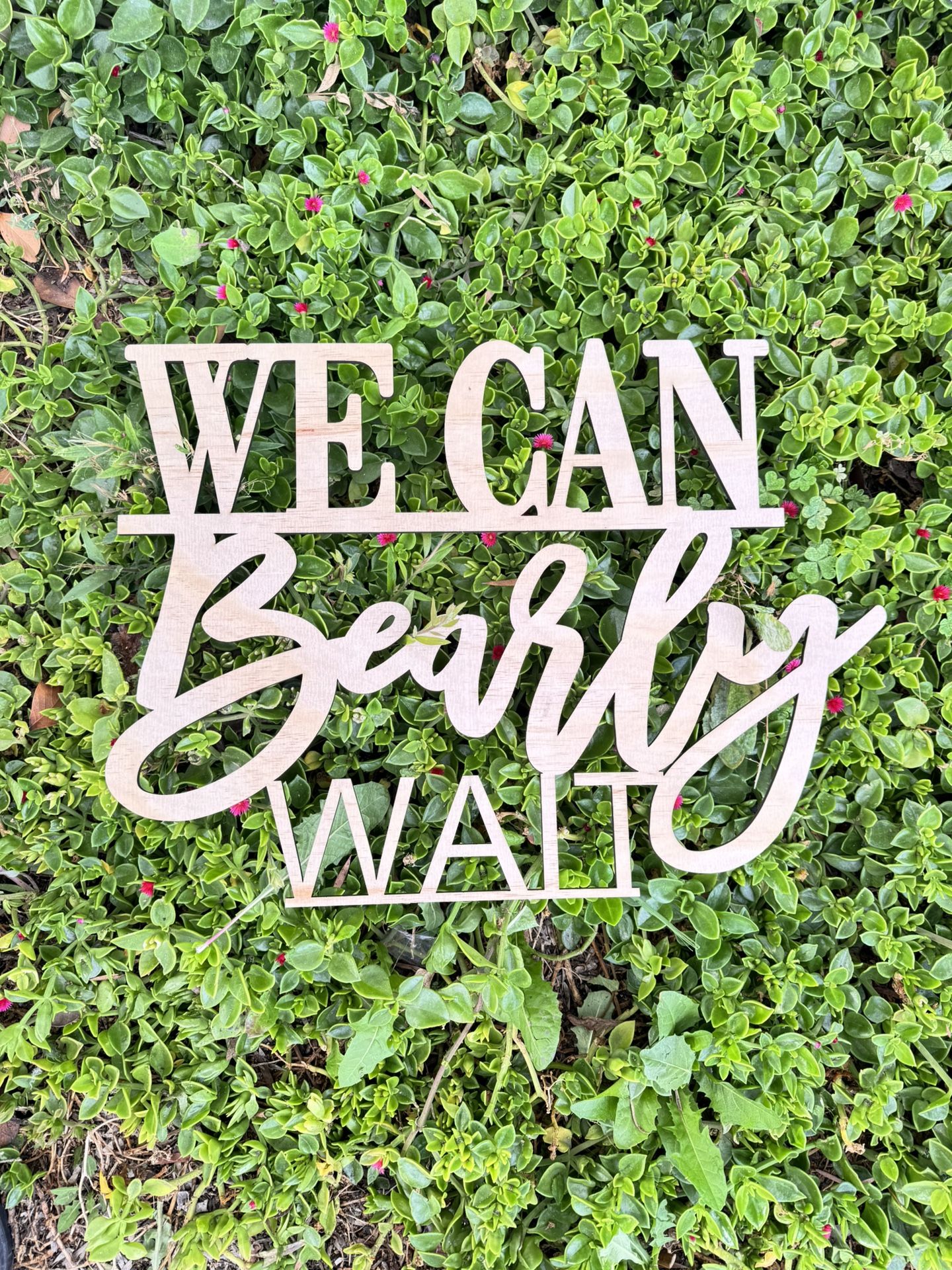 Baby Shower We Can Bearly Wait Wood Sign Cutout