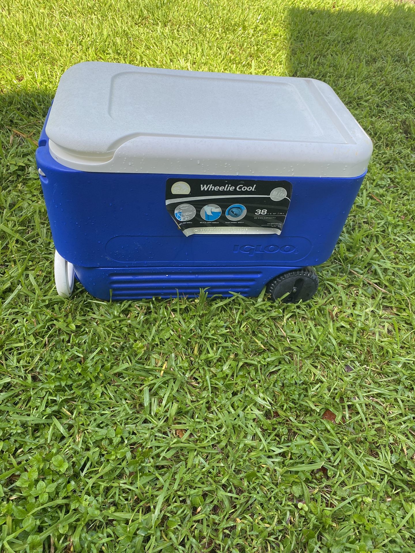 Igloo cooler