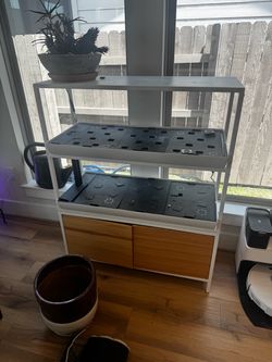 Hydroponic garden