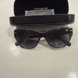 Cat Eye Sunglasses