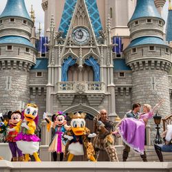 Walt Disney World Tickets Available 