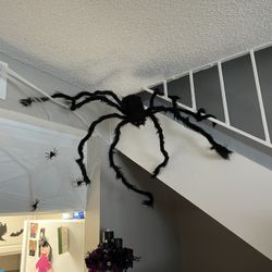 Halloween Decoration