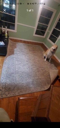 Gray Rug