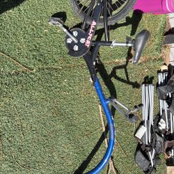 Attach To Adult Bike 