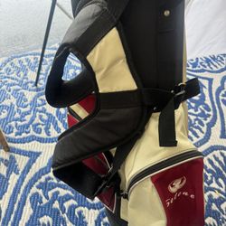 Very Nice Golf Clubs And Bag 
