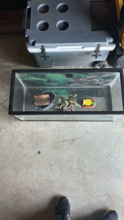 Glass Reptile Tank with Screen Lid