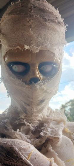 Halloween mummy