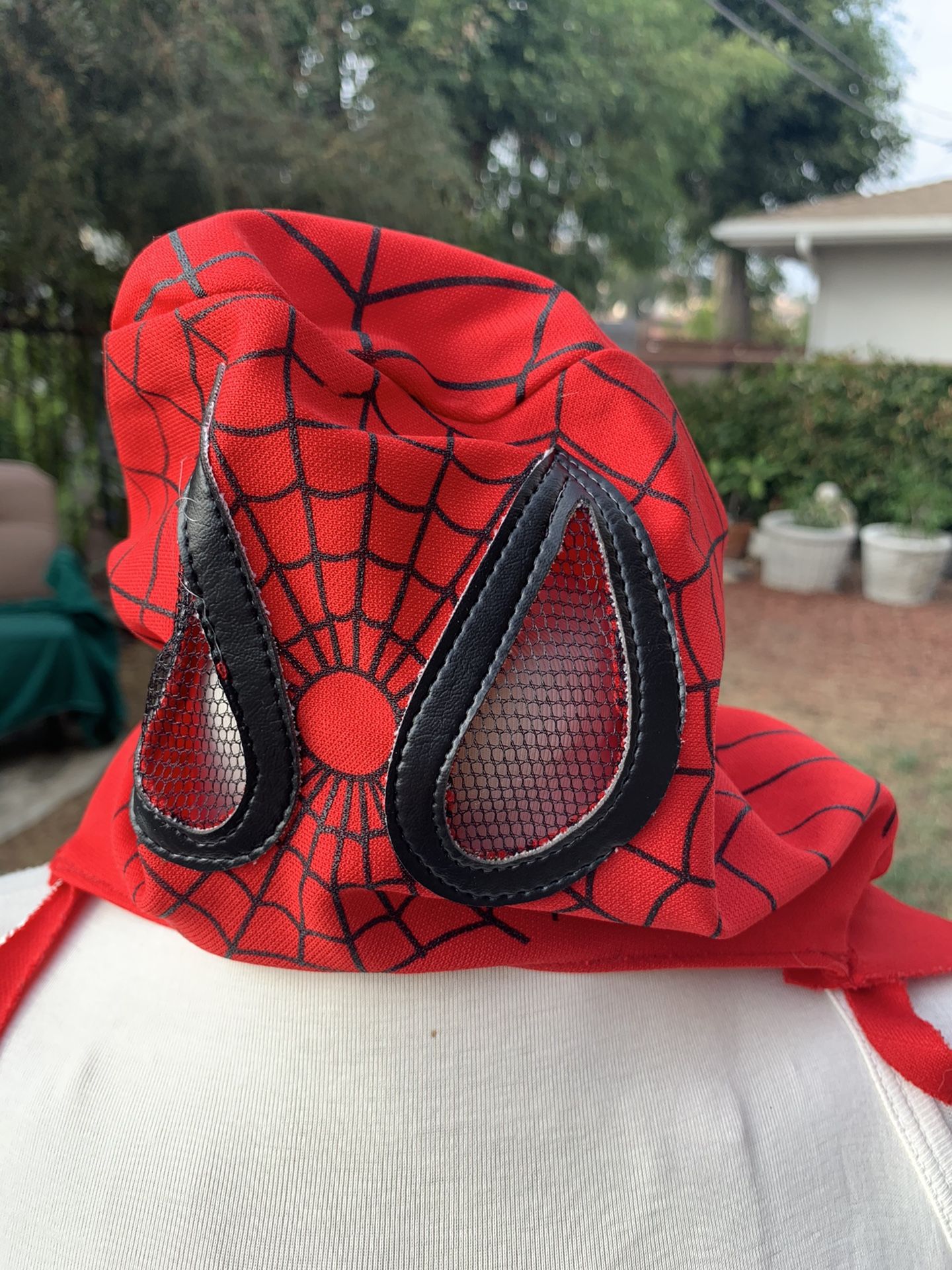 Spider-Man mask and cape