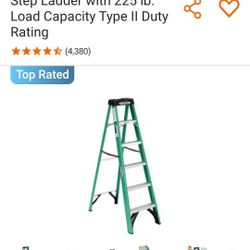 6 Foot Werner Ladder 225 Lb