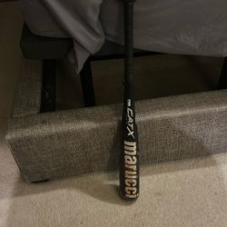 Youth Baseball Bat
