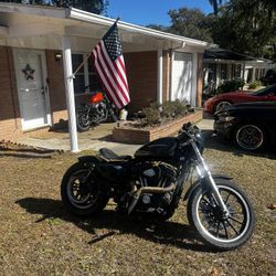 2007 Sportster XL883L