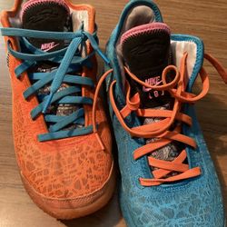 Size 8 1/2 LeBron Nikes 