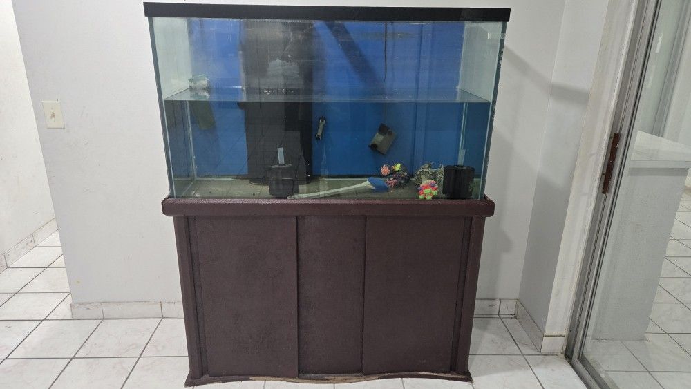 Fish Tank