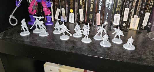 Kroot Farstalker Kill Team 40k Warhammer