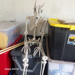 Halloween Decorations