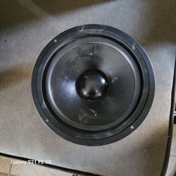 10in Speaker