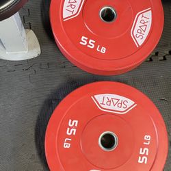 Pair of 55lbs Bumbler Plate Total Of 110 lbs 
