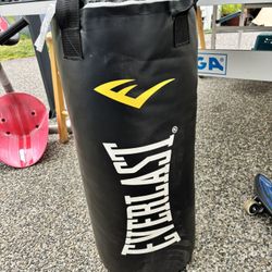 Punching Bag and Youth Sized Gloves 