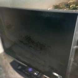 Hisense tv