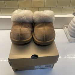 Uggs Slipper 