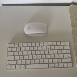 Wireless apple mouse & keyboard  
