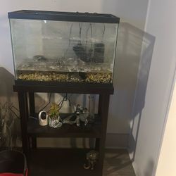 20 gallon aquarium and Stand 