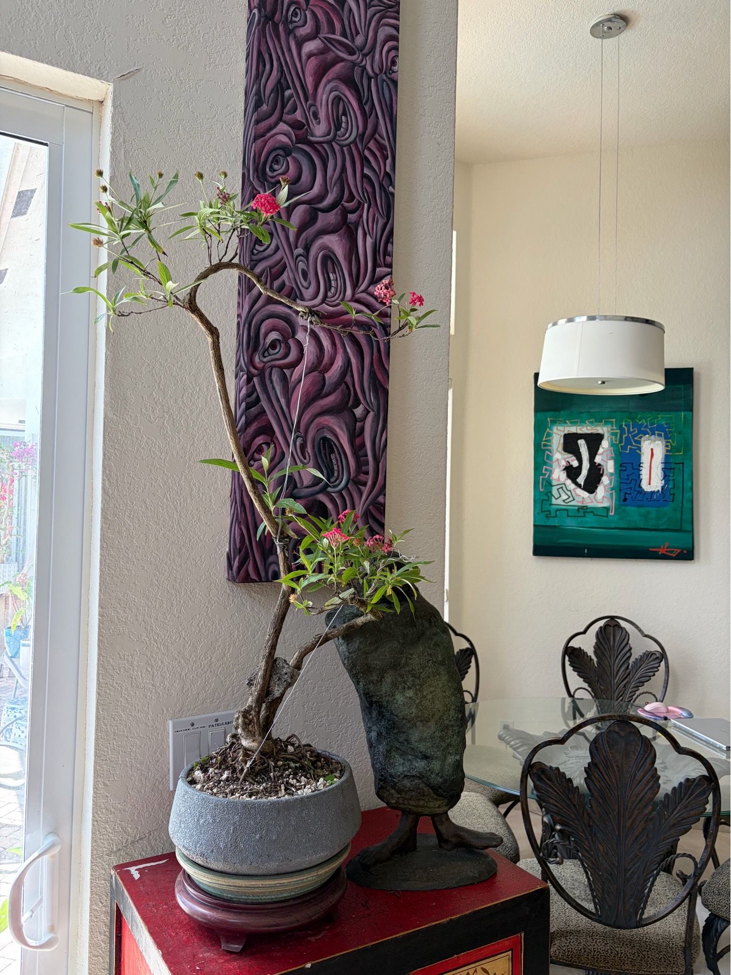 Tropical plant bonsai