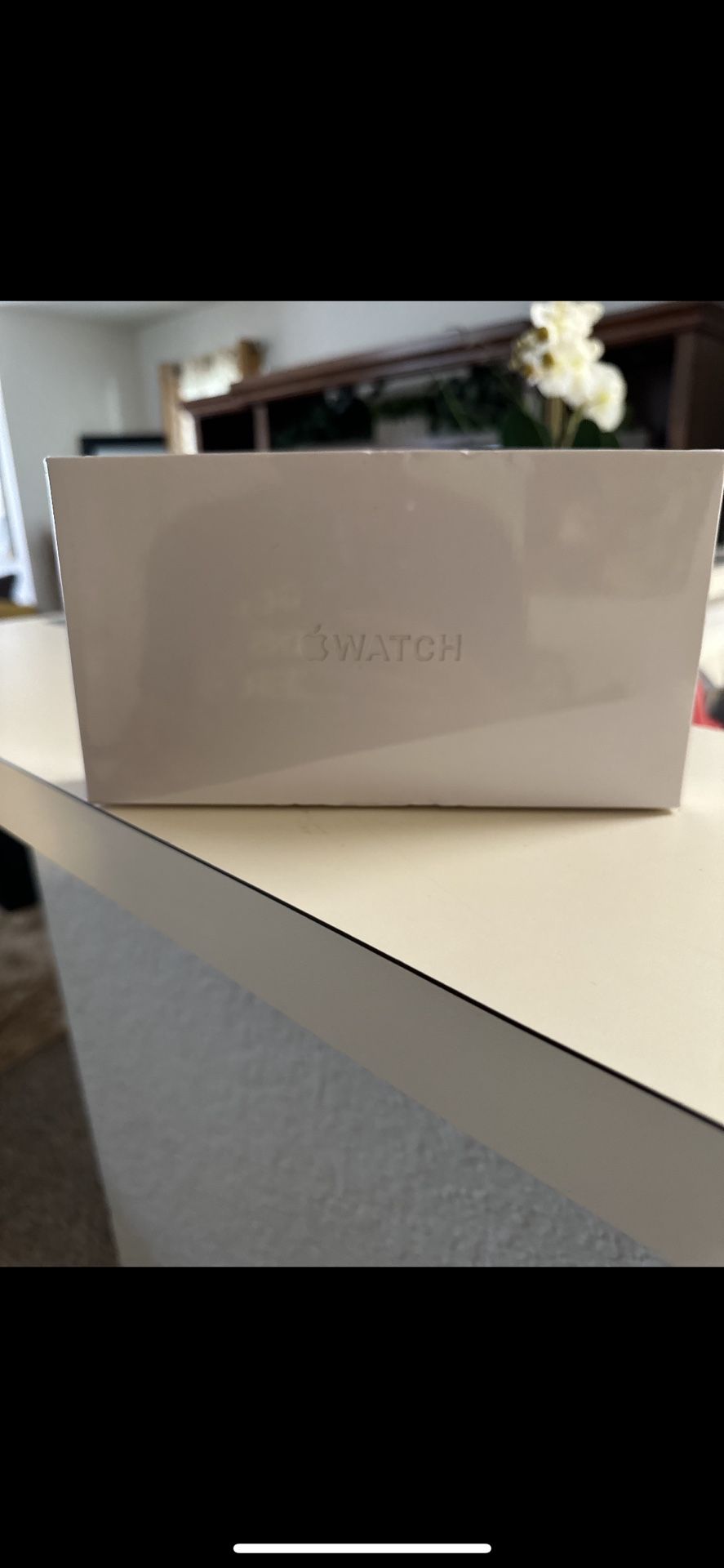  Apple Watch Ultra 2 /AirPods Pro (2nd generation)