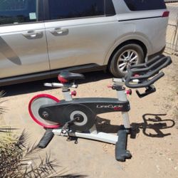 Lifecycle GX Spin Bike Workout Cardio