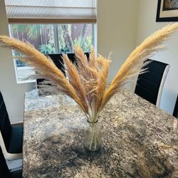 Dried Pampas Grass Bundle in Glass Vase