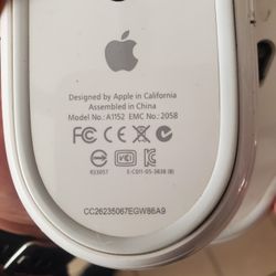 Apple 🍎 Mouse 🐁 