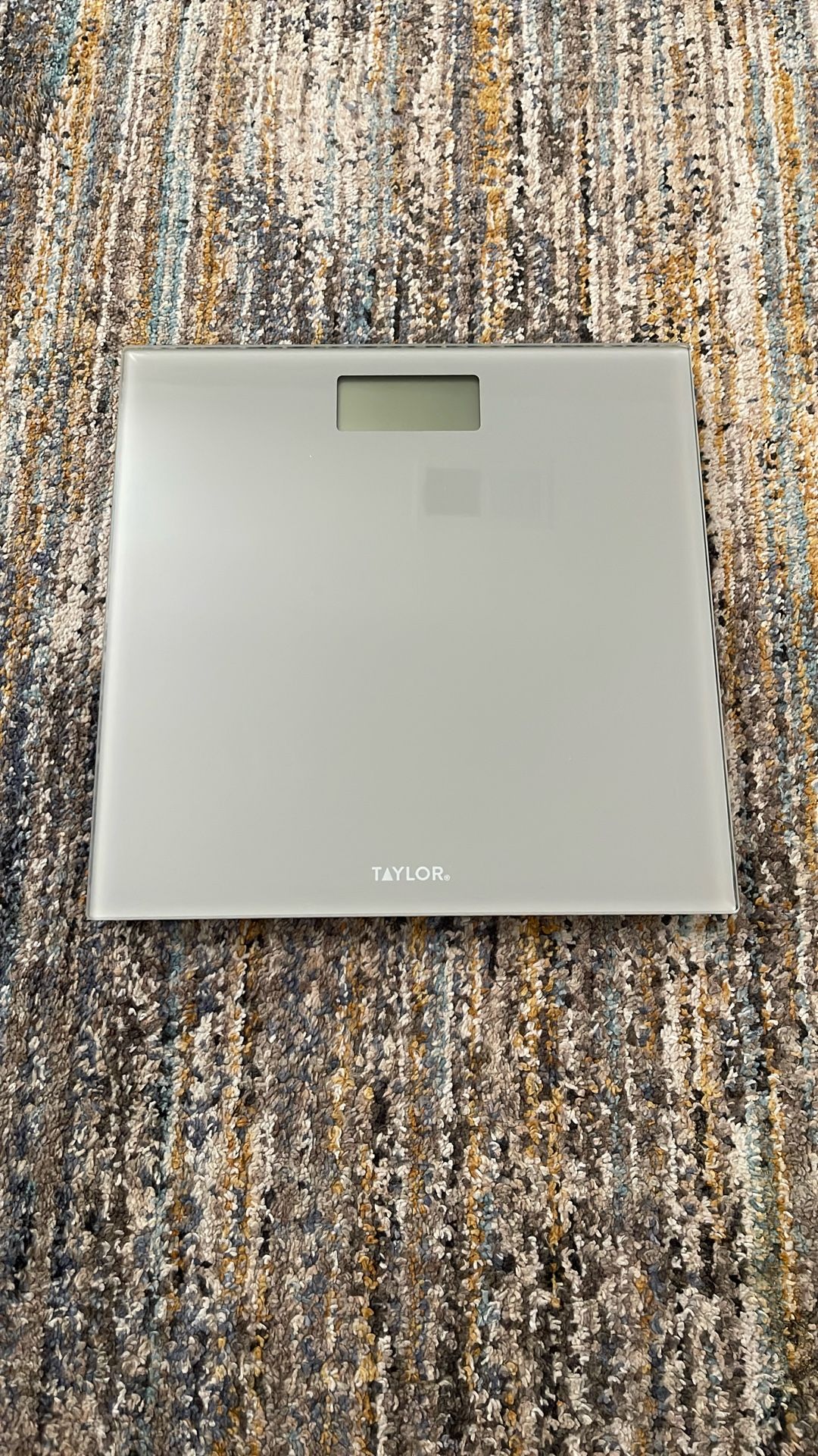 Taylor Weight Scale