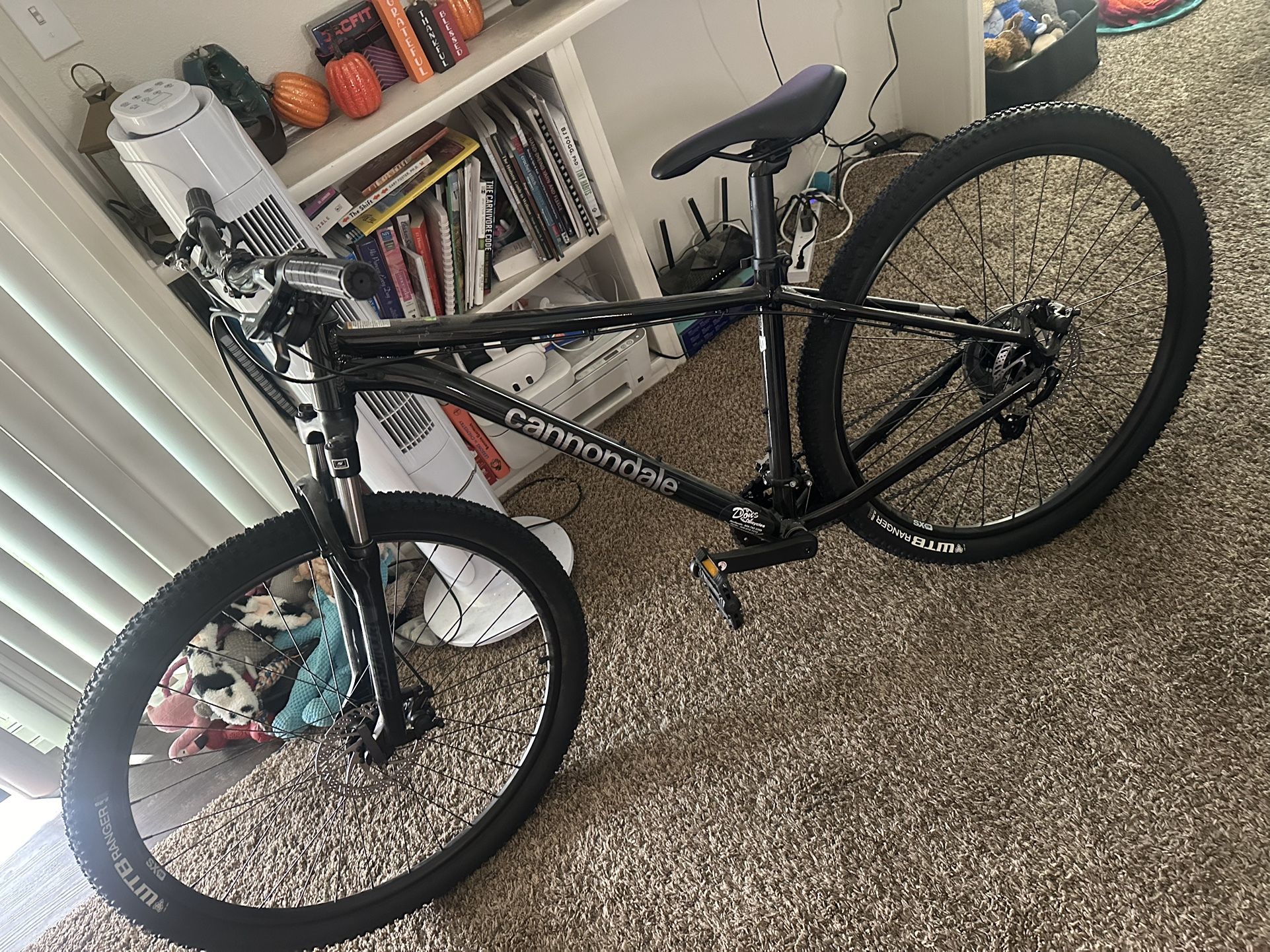 Cannondale mountain bike