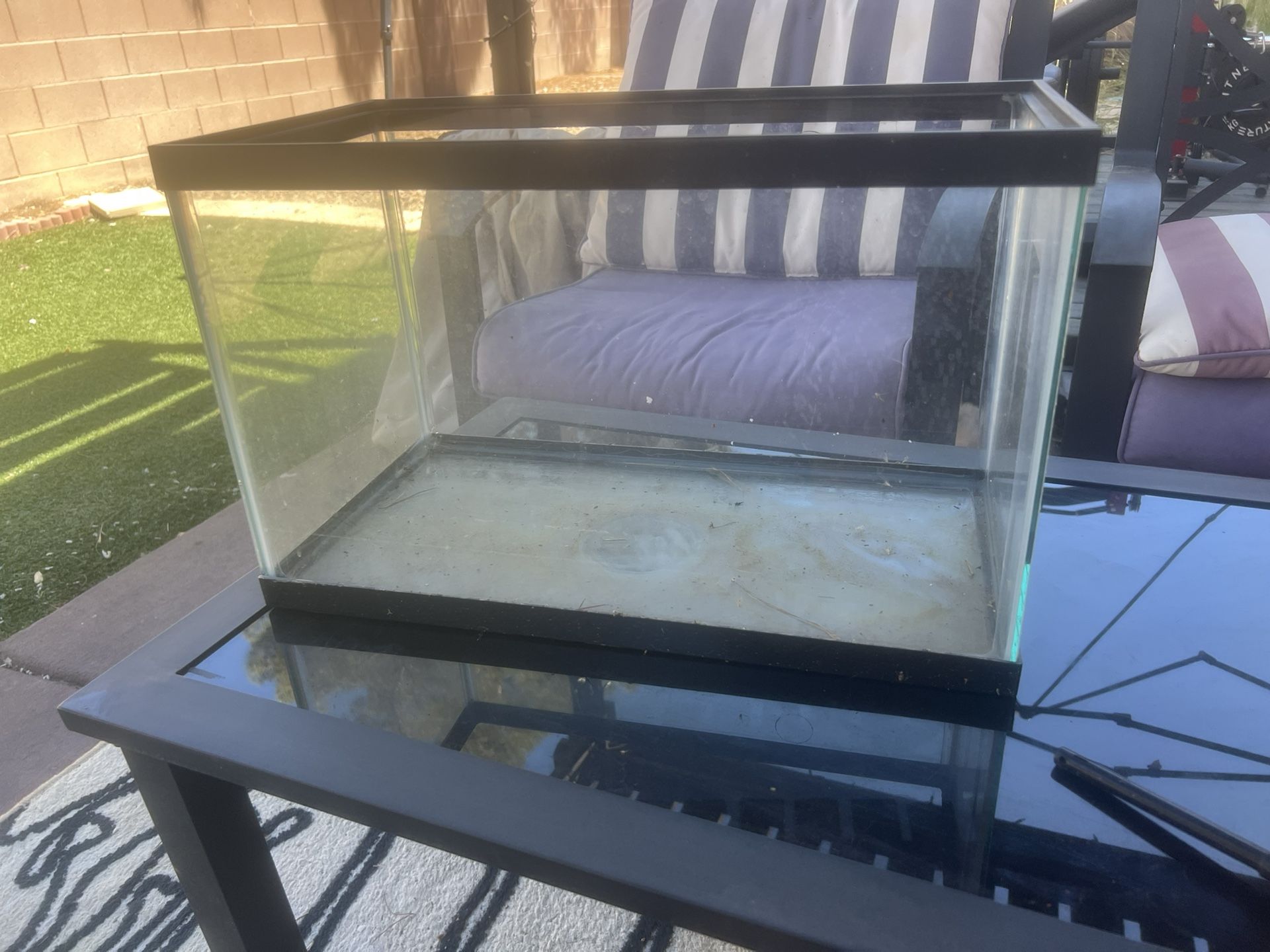 Fish Tank