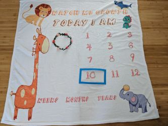 Milestone baby blanket