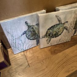 Turtle Art