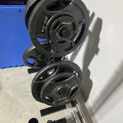Squat Rack Weights Bars And Bench