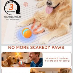 Interactive Dog Ball 