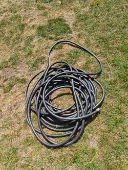 Hose