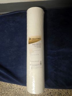 Pentair DGD-5005-20, 50 MICRON Sediment Filter