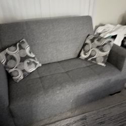 small Couch/Sleeper