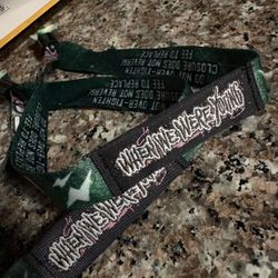 We We’re Young Concert Wristbands 