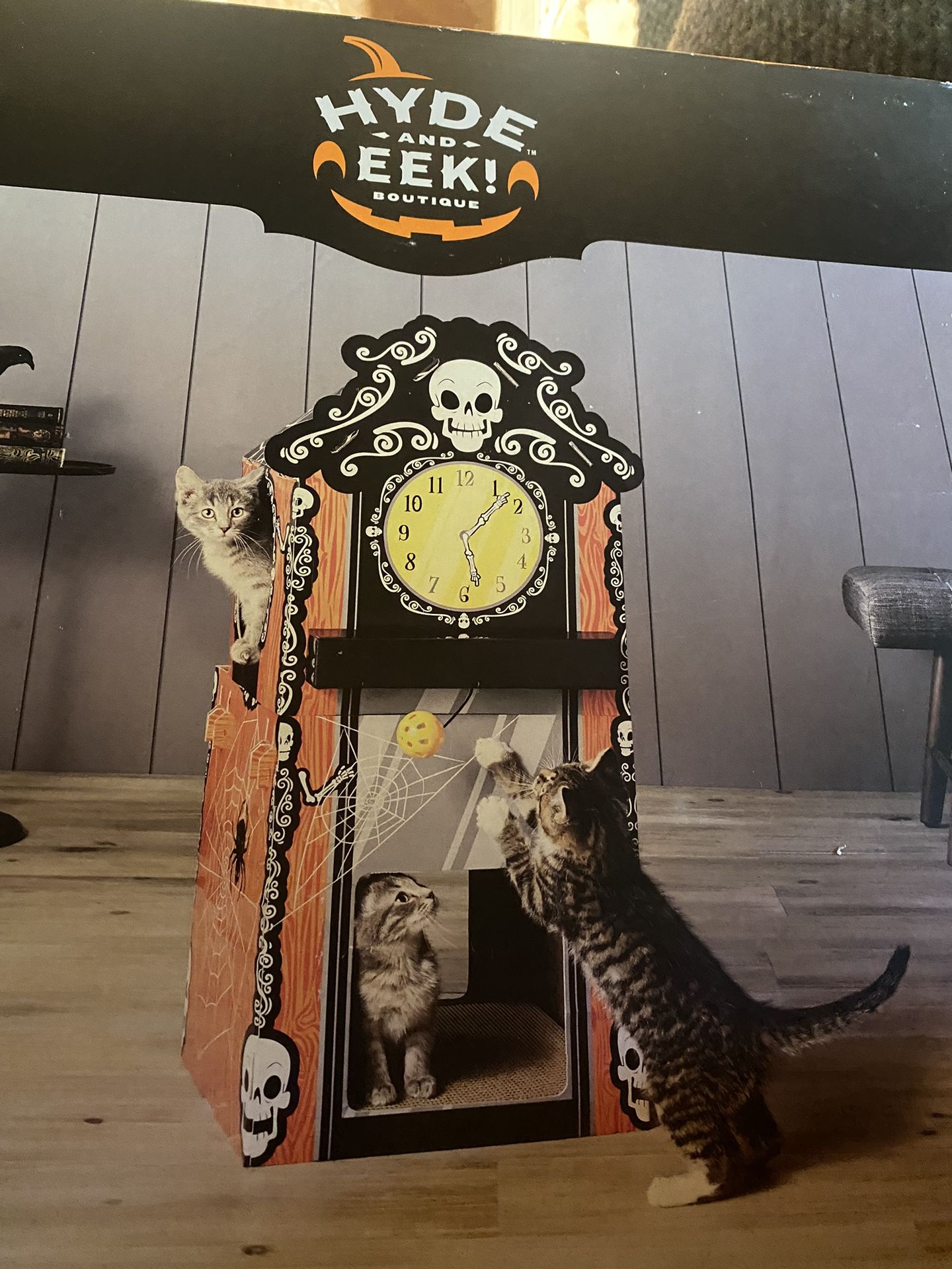 Cat scratcher house