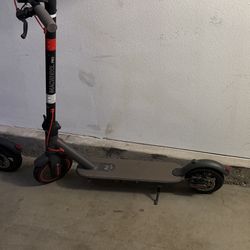 Electric Scooters