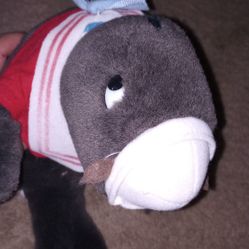 Sea World Seymour Sea Lion 