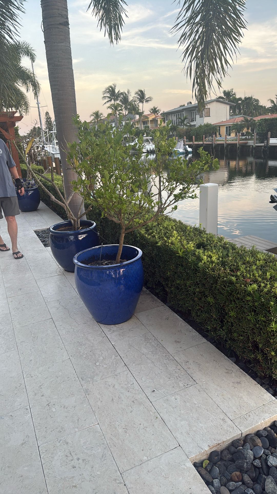 23 inch Ceramic Blue Pot With Tree