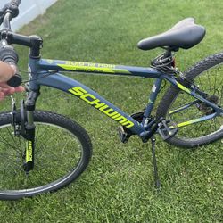 Schwinn Bike 