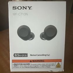 Sony WF-C710N Earbuds