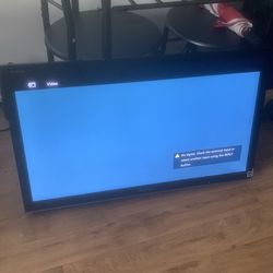 Sony Flat Screen TV